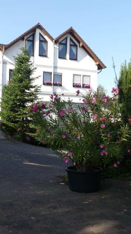 Hotel Janssen Bodenheim Extérieur photo
